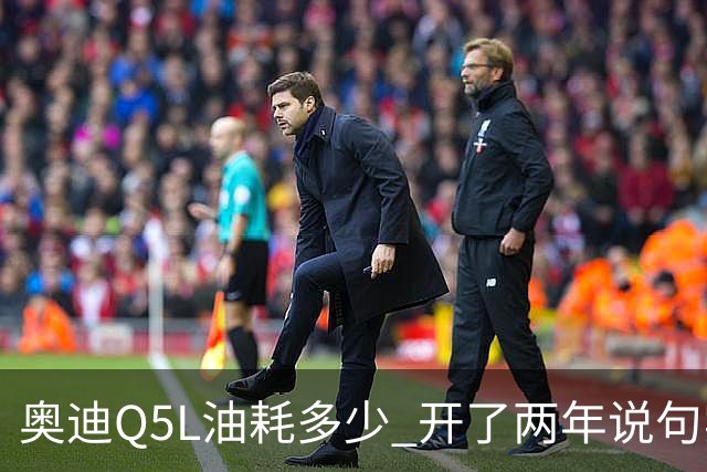 奥迪Q5L油耗多少 开了两年说句实话 家用到底香不香