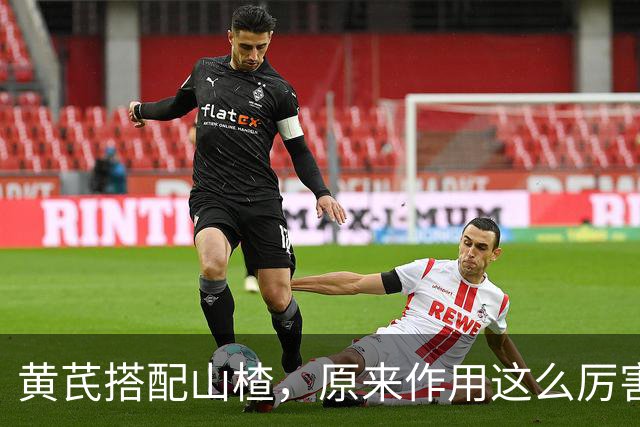 黄芪搭配山楂，原来作用这么厉害，很多人却不知道，建议收藏备用